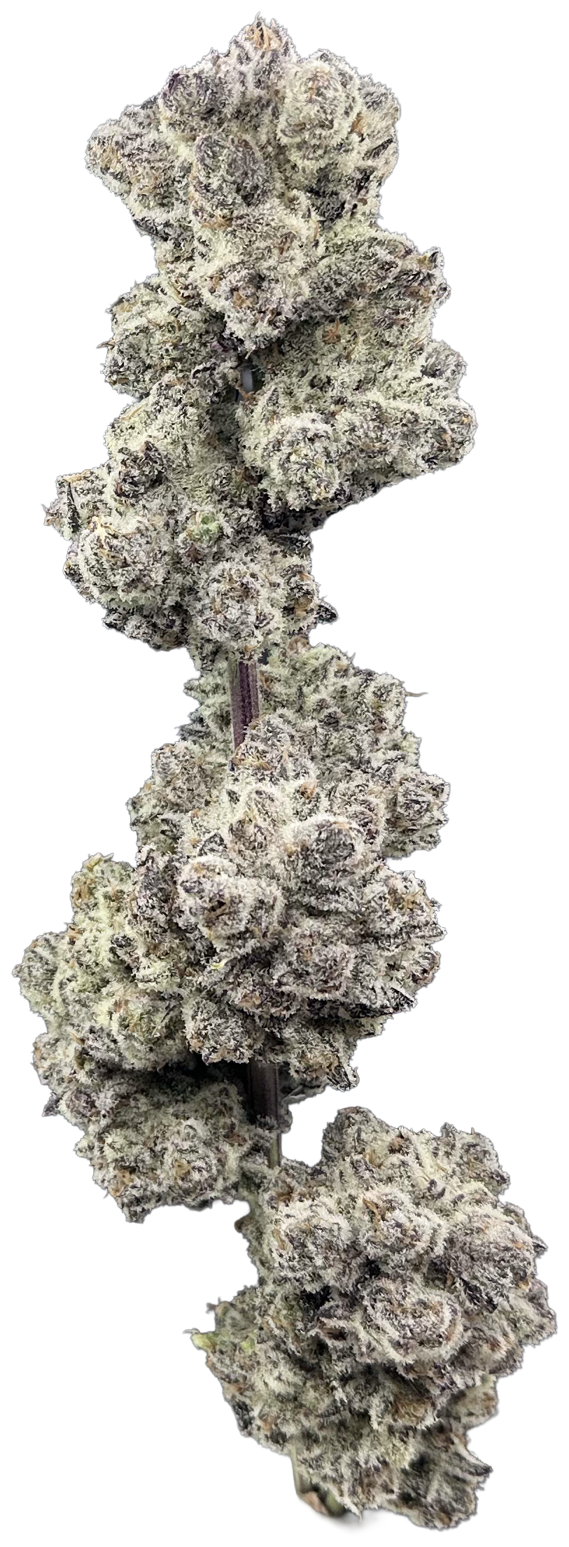Black Ice